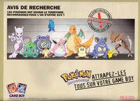 Pokemon Rouge Bleu